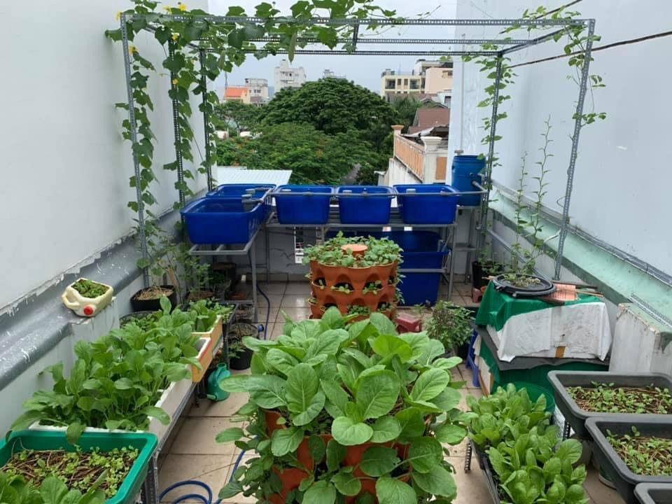 Garden macha